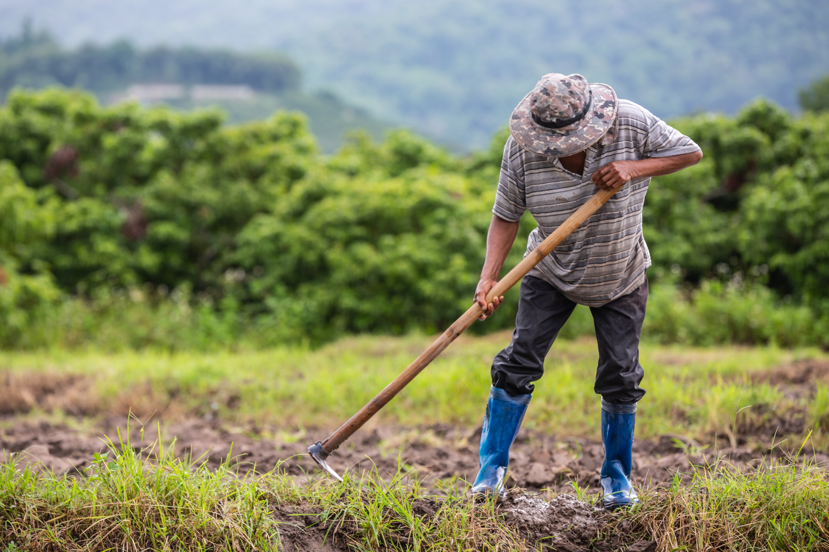 Farmer Empowerment